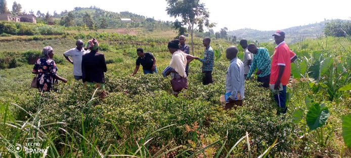 Community farming initiative